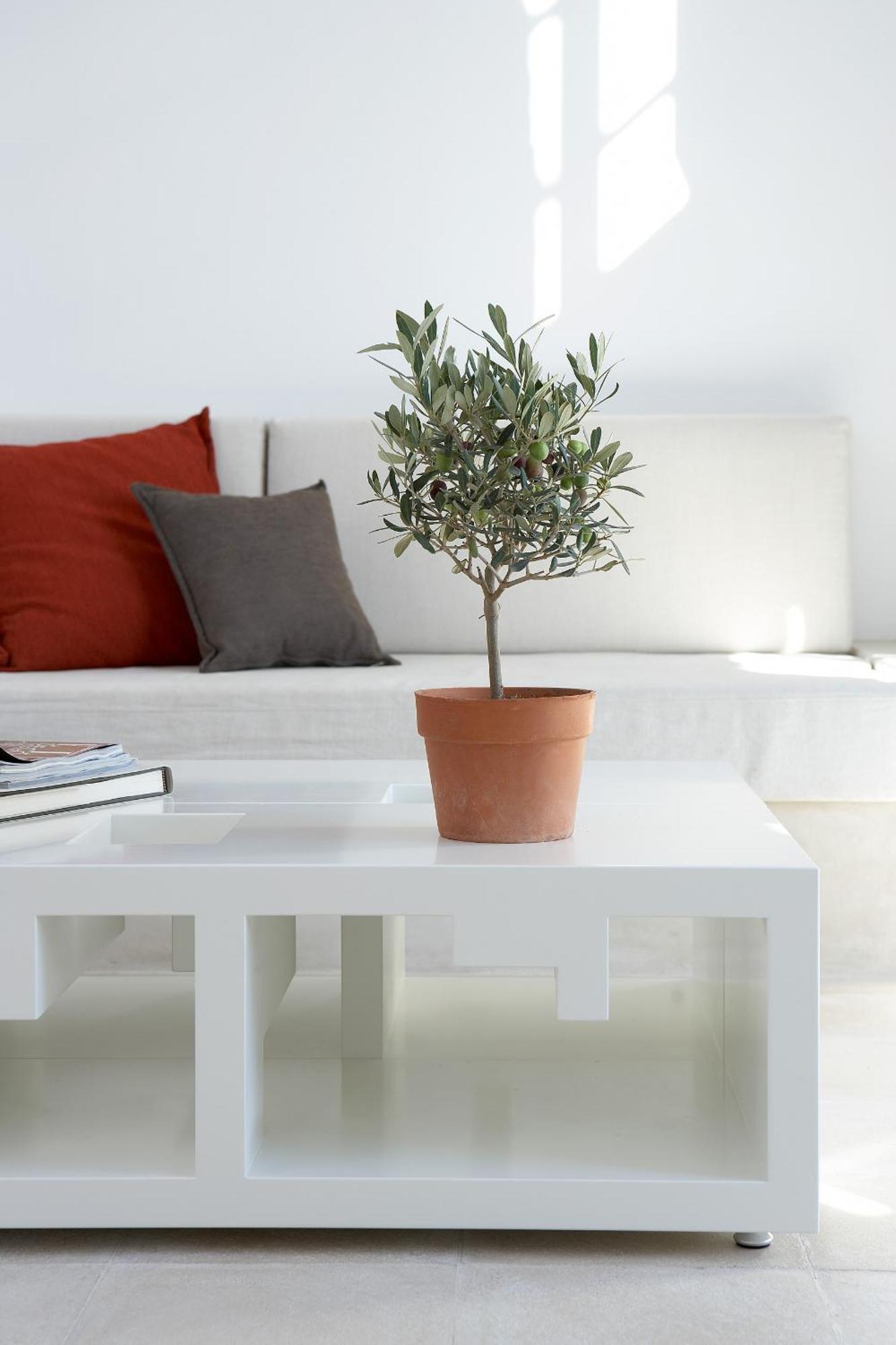 Villa Fabrica Santorini Pýrgos Extérieur photo